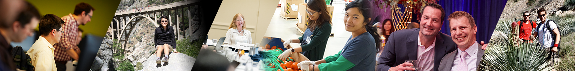 career-culture-strip-1-22